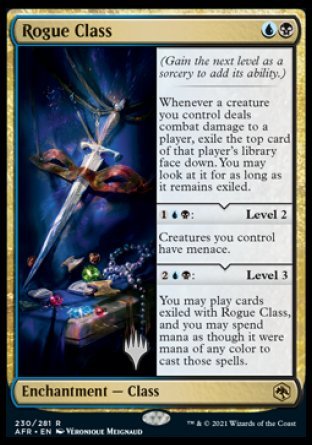 Rogue Class (Promo Pack) [Dungeons &amp; Dragons: Adventures in the Forgotten Realms Promos] 