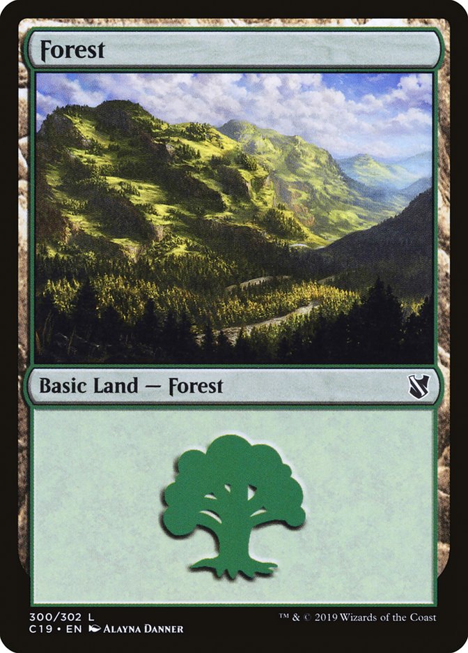 Forest (300) [Order 2019] 